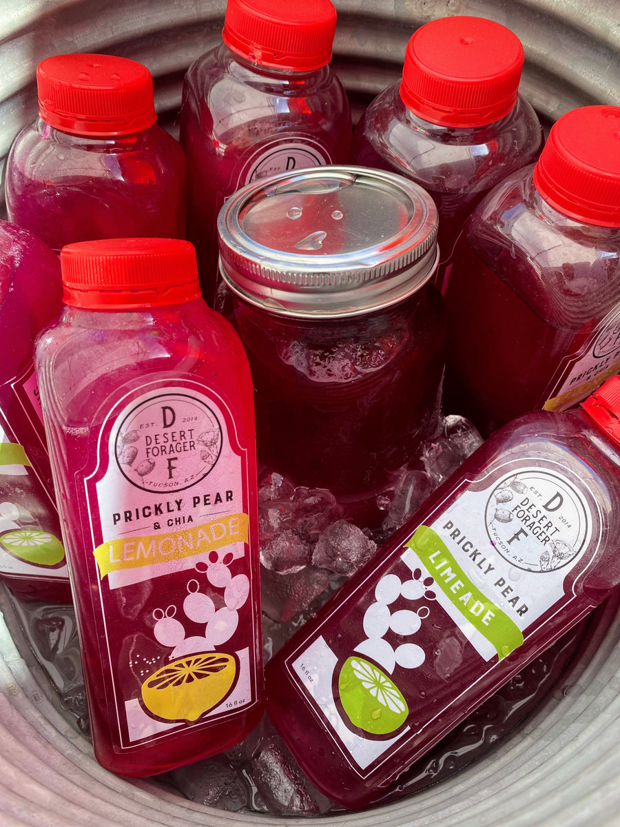 Prickly Pear Chia Lemonade (frozen) Desert Forager