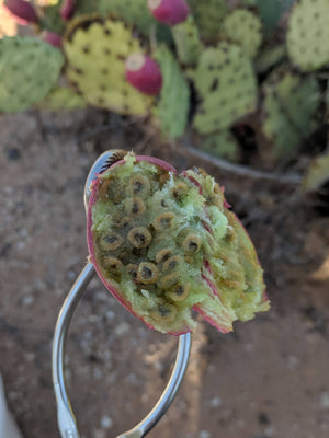 Prickly Pear Seed Flour